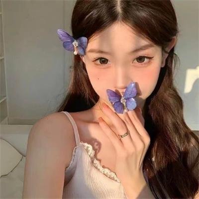 隆美尔宝藏